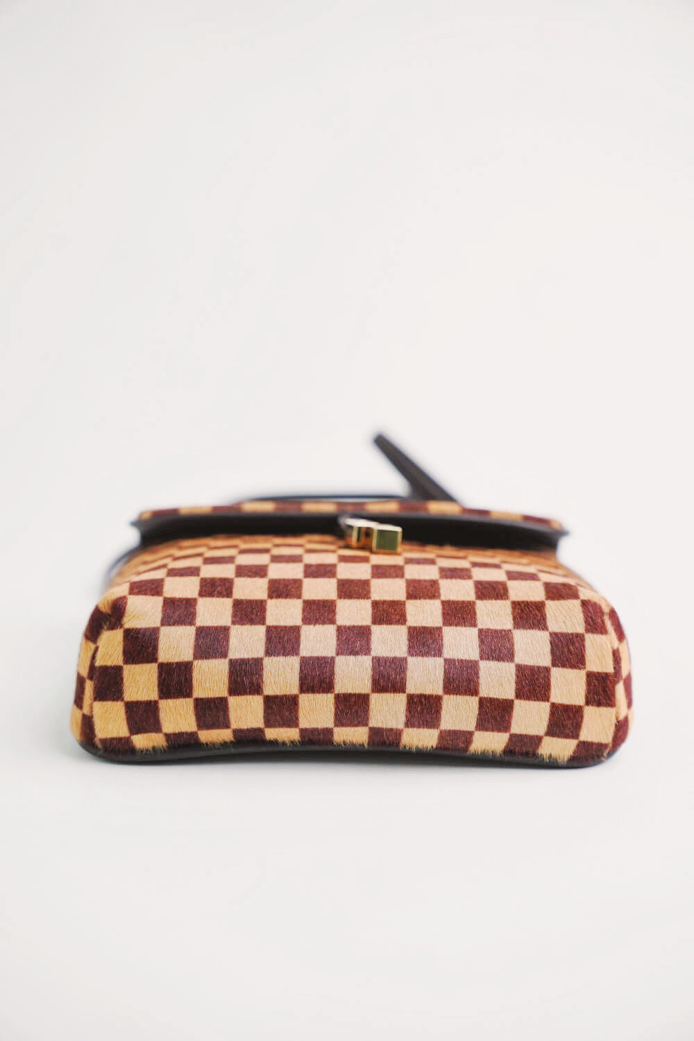 Louis Vuitton Damier Ebene Calf Hair Sauvage Lionne Bag – The Closet
