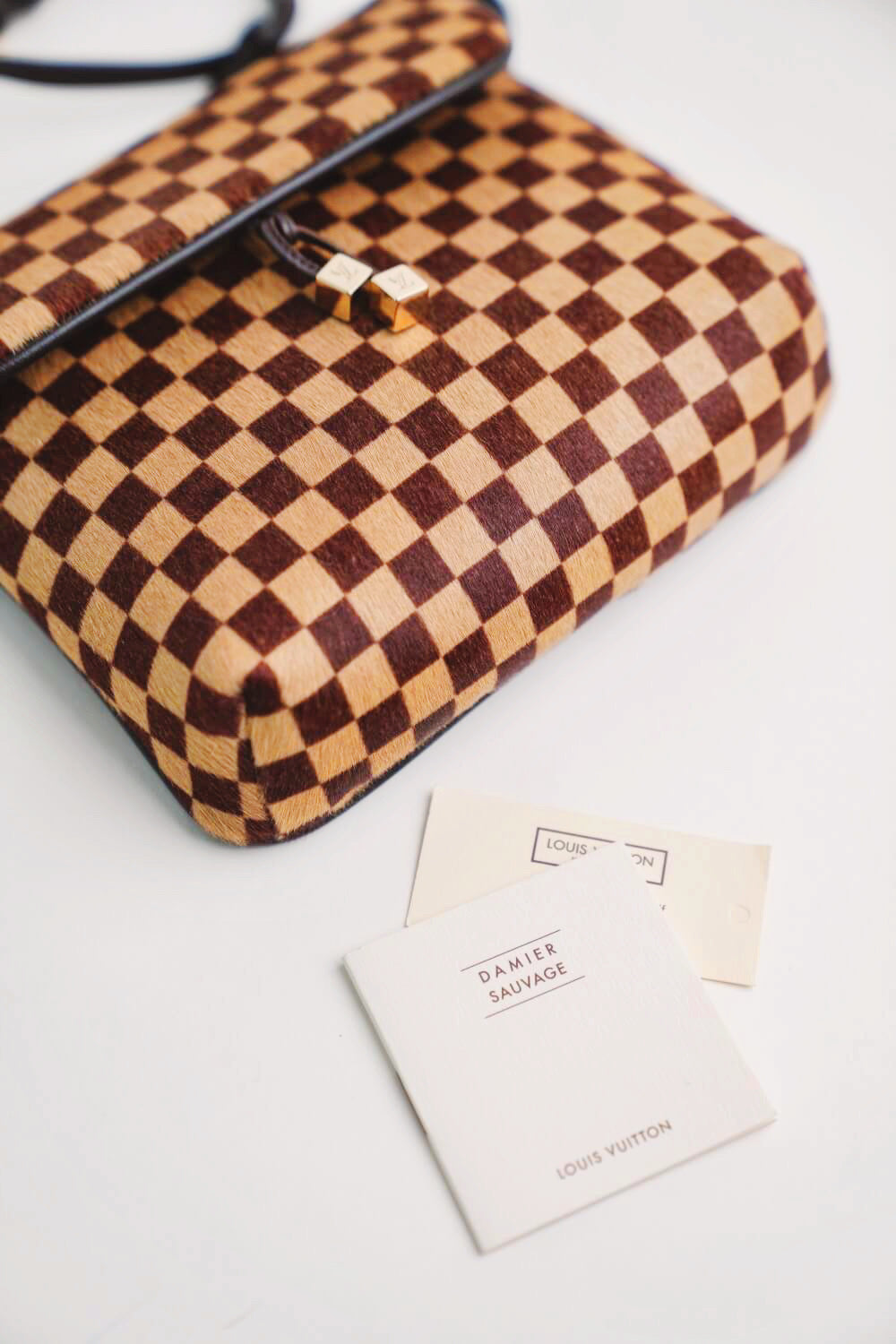 Louis Vuitton, Bags, Authentic Louis Vuitton Damier Sauvage Lion Hand Bag